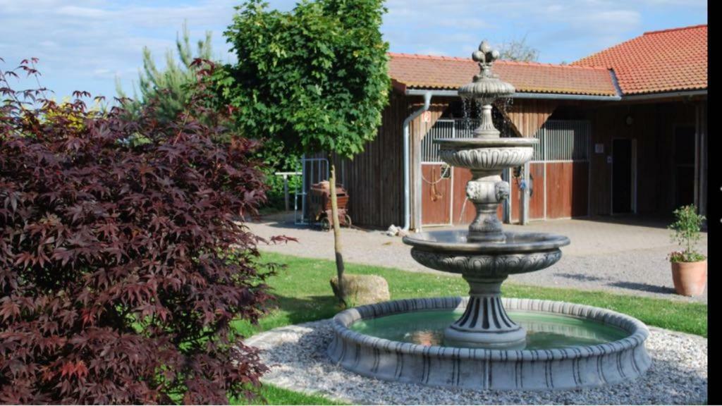 Gestuet Tiefenhof Apartamento Nittenau Exterior foto