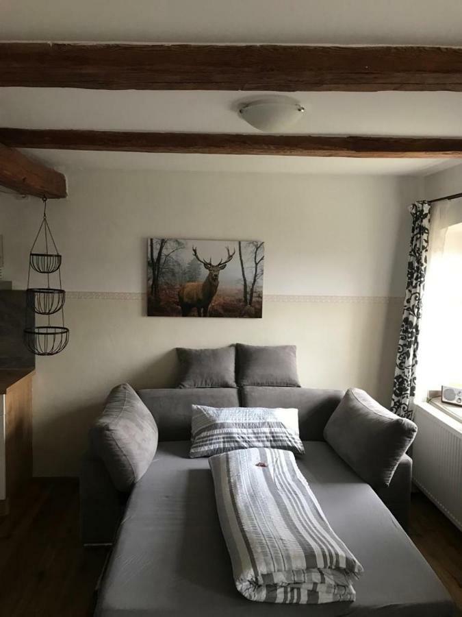 Gestuet Tiefenhof Apartamento Nittenau Exterior foto